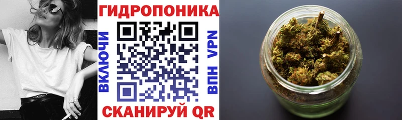 Марихуана Bruce Banner  Купить закладки  Николаевск 